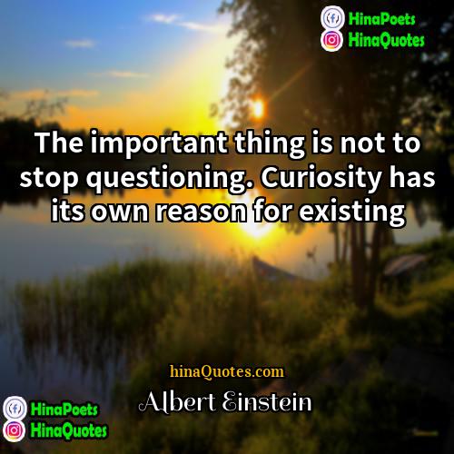 Albert Einstein Quotes | The important thing is not to stop